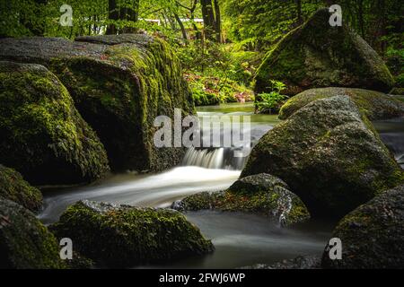 Naturschutzgebiet Höllbachtal im vorderen Bayerischen Wald Banque D'Images