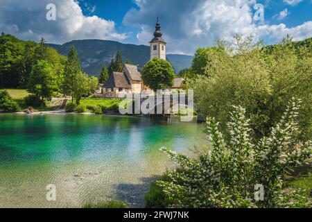 Lac fleuri et vieux pont en pierre sur le lac Bohinj. Ancienne église traditionnelle sur la rive du lac Bohinj, Slovénie, Europe Banque D'Images