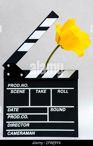 Panneau de film avec tulipe jaune. Durée de vie minimale de la planche clapper pour la réalisation de vidéos de cinéma et de fleurs printanières. Banque D'Images