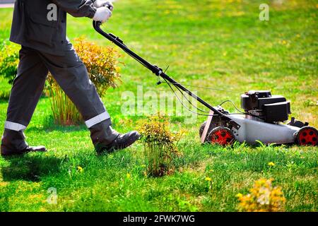 Un jardinier en combinaison marche avec une tondeuse sur une pelouse verte. Un homme tond la pelouse lors d'une journée d'été ensoleillée. Copier l'espace Banque D'Images