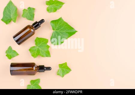 Deux bouteilles brunes avec des huiles et des feuilles de lierre sur un fond beige avec un endroit pour une exposition publicitaire de produits. Concept pour la production de pr Banque D'Images