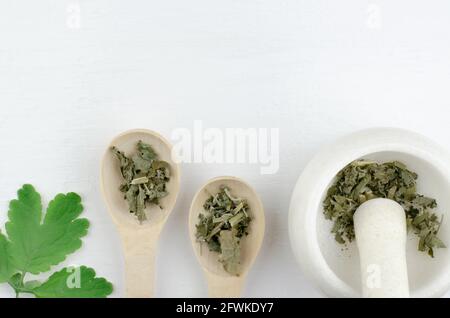 Mortier à la menthe sèche et deux cuillères en bois sur fond blanc. Fabrication de produits de soins de la peau. Concept Banque D'Images