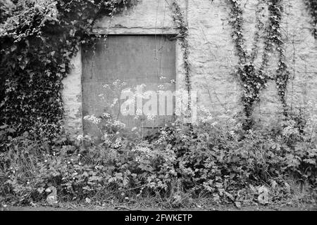 2021 mai - porte surcultivée d'un immeuble de chalets vide dans la campagne Somerset, près du village de Wedmore. Banque D'Images