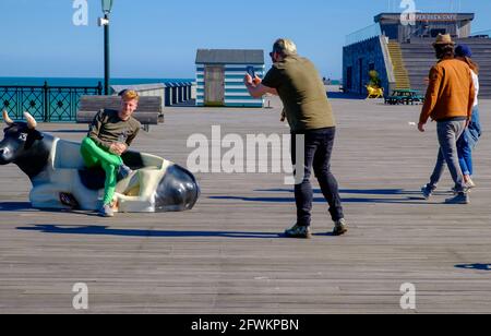 Idée de Staycation. Un homme s'assoit sur une vache en plastique tandis qu'un autre homme vérifie la lumière avec son téléphone en préparation pour une séance photo sur Hastings Pier, East Sussex Banque D'Images