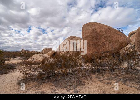 Joshua Tree National Park, CA, États-Unis - 30 décembre 2012 : groupe de blocs beiges et bruns derrière l'arbuste séché sur le sable sous un épais nuage de whie avec Banque D'Images