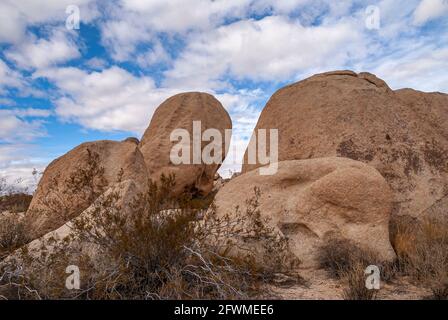 Joshua Tree National Park, CA, USA - 30 décembre 2012: Gros plan du groupe de rochers et d'arbustes secs sur le sable sous un épais paysage de whie avec quelques p bleu Banque D'Images