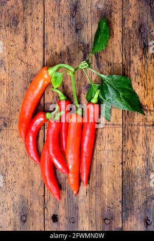 piments rouges chauds, annuum de piment avec tige et feuilles fraîchement cueillies dans le jardin. Les poivrons sont lavés et pondus sur une vieille surface en bois. Banque D'Images