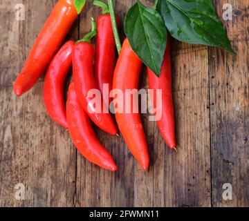 piments rouges chauds, annuum de piment avec tige et feuilles fraîchement cueillies dans le jardin. Les poivrons sont lavés et pondus sur une vieille surface en bois. Banque D'Images