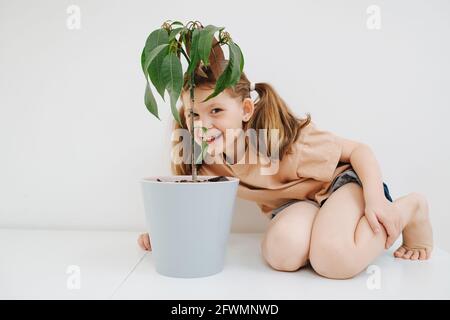 Petite fille ludique souriant de derrière une plante dans un grand pot Banque D'Images