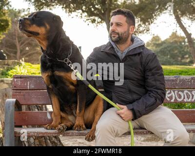 homme assis sur un banc de parc avec son chien rottweiler Banque D'Images