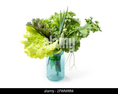 Salades de jardin dans un vase. Bouquet ou assortiment de légumes colorés : kale russe rouge, kale de curly, laitue, oignons verts et tendrils de pois à pression. Conc Banque D'Images