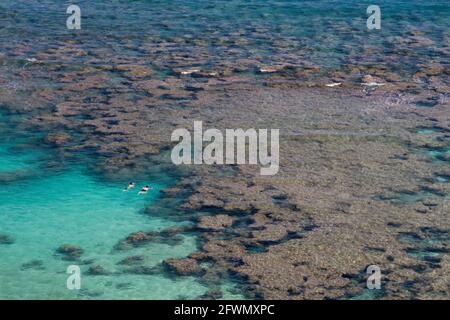 Deux personnes en apnée dans l'eau turquoise au récif de la réserve naturelle de Hanauma Bay à Oahu, Hawaï. Banque D'Images