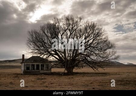 Ancienne école près de Jordan Valley, Oregon à la fin de l'hiver Banque D'Images