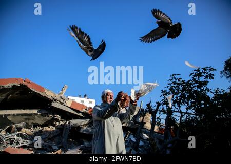 Gaza, Palestine. 23 mai 2021. Nazmy al-Dahdouh, un palestinien de 70 ans, joue avec ses oiseaux au-dessus des ruines de sa maison, détruite lors de récentes frappes aériennes israéliennes dans la ville de Gaza.les Gazaouis ont tenté de rejouer leur vie, Après un conflit dévastateur de 11 jours avec Israël qui a tué plus de 200 personnes et fait des milliers de sans-abri dans l'enclave palestinienne appauvrie. (Photo par Ahmed Zakot/SOPA Images/Sipa USA) crédit: SIPA USA/Alay Live News Banque D'Images