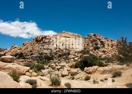 Grand affleurement des Rocheuses dans le parc national de Joshua Tree Banque D'Images