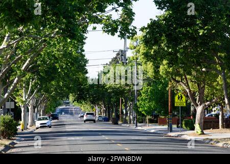 Rue bordée d'arbres dans un quartier résidentiel avec des voitures garées devant les maisons. Panneau de croisement scolaire Banque D'Images