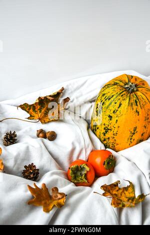 Citrouille sur fond blanc. Récolte d'automne. Copier l'espace. Persimmons et feuilles. Arrière-plan de l'automne Banque D'Images