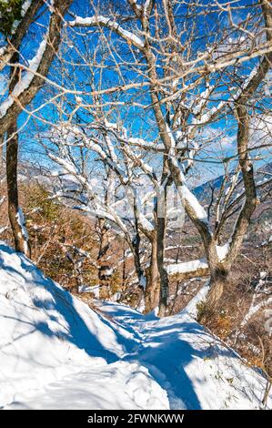 Chemin menant vers le bas du col de Torii Narai sur la façon de Nakasendo, préfecture de Nagano au Japon. Banque D'Images