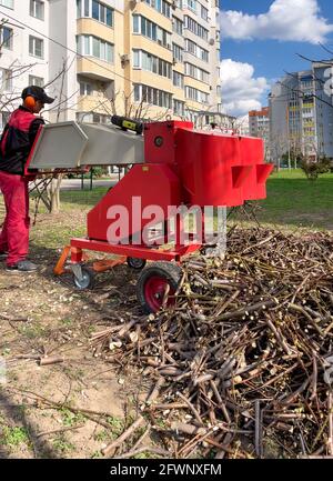 Gros plan des branches d'arbre après avoir été hachées dans une machine à écraser. Banque D'Images