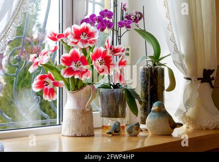 magnifique bouquet de tulipes dans un vase sur un rebord de fenêtre dans une maison privée Banque D'Images