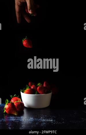 Mouvement congelé d'une fraise tombant de la main du cuisinier dans un bol contenant plus de fraises. Photographie de nourriture sombre Banque D'Images