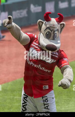 Mexico, Mexique. 23 mai 2021. MEXICO, MEXIQUE - MAI 23 : la mascotte Diablos Rojos du Mexique pendant le match entre Aguilas de Veracruz et Diablos Rojos dans le cadre de la Ligue mexicaine de baseball 2021 au stade Alfredo Harp Helu le 23 mai 2021 à Mexico. (Photo d'Eyepix/Sipa USA) crédit: SIPA USA/Alay Live News Banque D'Images