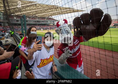 Mexico, Mexique. 23 mai 2021. MEXICO, MEXIQUE - MAI 23 : un fan de Diablos Rojos du Mexique pendant le match entre Aguilas de Veracruz et Diablos Rojos dans le cadre de la Ligue mexicaine de baseball 2021 au stade Alfredo Harp Helu, le 23 mai 2021 à Mexico, Mexique. (Photo d'Eyepix/Sipa USA) crédit: SIPA USA/Alay Live News Banque D'Images