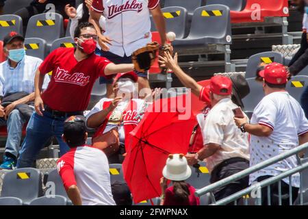 Mexico, Mexique. 23 mai 2021. MEXICO, MEXIQUE - MAI 23 : fans de Diablos Rojos du Mexique pendant le match entre Aguilas de Veracruz et Diablos Rojos dans le cadre de la Ligue mexicaine de baseball 2021 au stade Alfredo Harp Helu, le 23 mai 2021 à Mexico. (Photo d'Eyepix/Sipa USA) crédit: SIPA USA/Alay Live News Banque D'Images