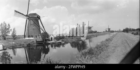 Mills près de Kinderdijk, 17 juillet 1957, MOLENS, pays-Bas, agence de presse du xxe siècle photo, nouvelles à retenir, documentaire, photographie historique 1945-1990, histoires visuelles, L'histoire humaine du XXe siècle, immortaliser des moments dans le temps Banque D'Images