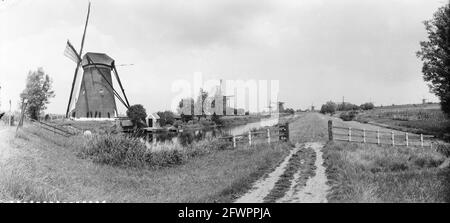 Mills près de Kinderdijk, 17 juillet 1957, MOLENS, pays-Bas, agence de presse du xxe siècle photo, nouvelles à retenir, documentaire, photographie historique 1945-1990, histoires visuelles, L'histoire humaine du XXe siècle, immortaliser des moments dans le temps Banque D'Images