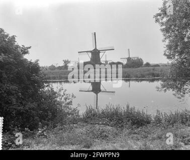 Mills on the Kinderdijk, 1er juillet 1961, MOLENS, pays-Bas, agence de presse du xxe siècle photo, nouvelles à retenir, documentaire, photographie historique 1945-1990, histoires visuelles, L'histoire humaine du XXe siècle, immortaliser des moments dans le temps Banque D'Images