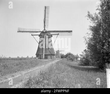 Mills on the Kinderdijk, 1er juillet 1961, MOLENS, pays-Bas, agence de presse du xxe siècle photo, nouvelles à retenir, documentaire, photographie historique 1945-1990, histoires visuelles, L'histoire humaine du XXe siècle, immortaliser des moments dans le temps Banque D'Images