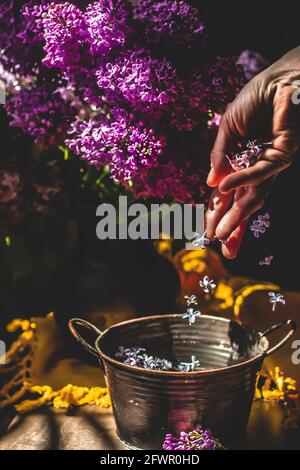 Boisson rafraîchissante au lilas au citron. Le devant de la boisson en vue. Banque D'Images