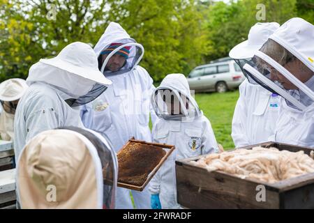 Apiculteurs inspectant une ruche, regardant un cadre de couvain, séance d'apiculture, apiculteurs enfants et adultes en costumes d'abeille, Banque D'Images