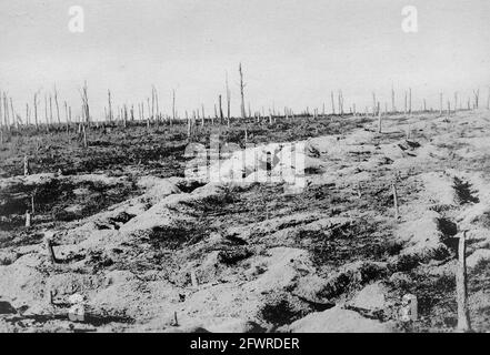 La première Guerre mondiale en France. Les restes d'une forêt après quelques heures de bombardements d'artillerie lourde. Tranchées construites à la hâte au premier plan. Banque D'Images