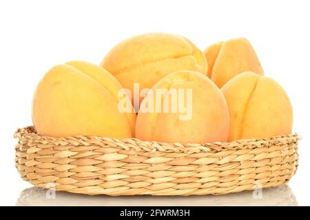 Plusieurs abricots mûrs d'ananas dans une plaque de paille, en gros plan, isolés sur du blanc. Banque D'Images