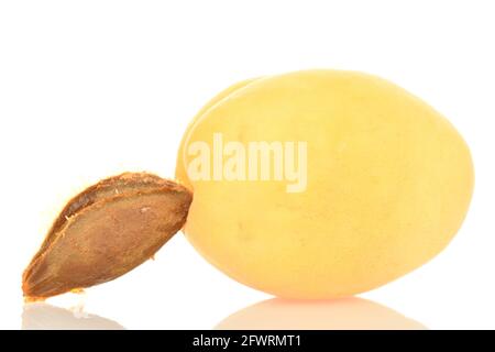 Un abricot d'ananas mûr et un noyau d'abricot, macro, isolés sur du blanc. Banque D'Images