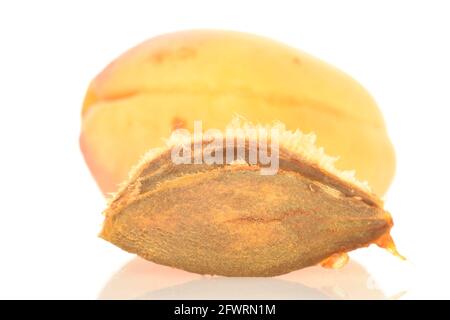 Un abricot d'ananas mûr et un noyau d'abricot, macro, isolés sur du blanc. Banque D'Images