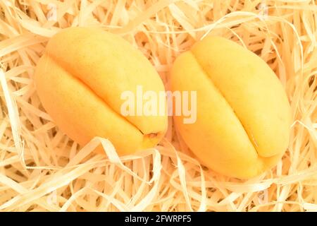 Deux abricots mûrs jaune ananas, macro, sur copeaux de bois, vue de dessus. Banque D'Images