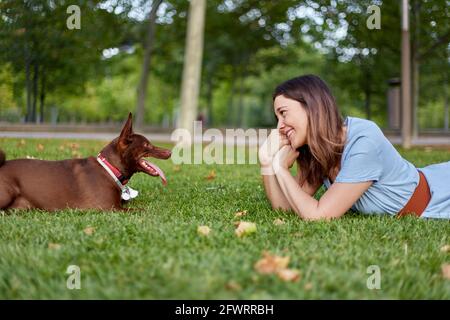 Gros plan d'une jeune femme allongé sur l'herbe verte avec son petit chien, le chien de race Pharaon, en plein air, dans un parc. Photo de haute qualité Banque D'Images