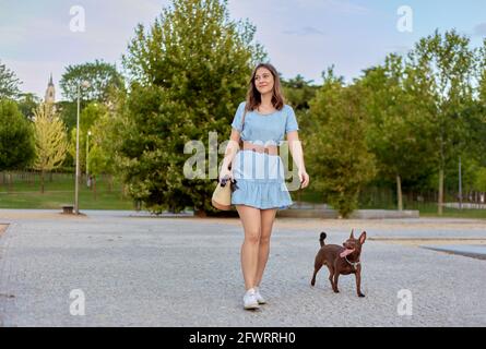 Jeune belle jeune fille gaie brune en robe bleue marche avec son chien dans un parc de la ville. Chien de race Pharaon pour une promenade . Photo de haute qualité Banque D'Images