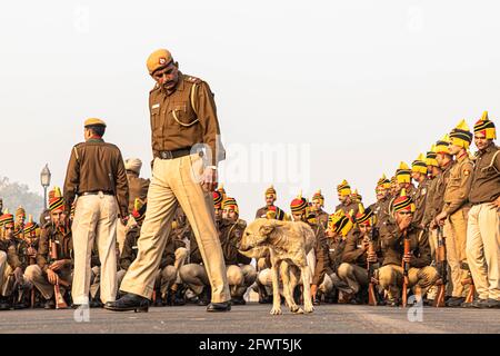 un chien est assis sur la route et la police de delhi pendant leurs répétitions pour la journée de la république indienne à delhi. Banque D'Images