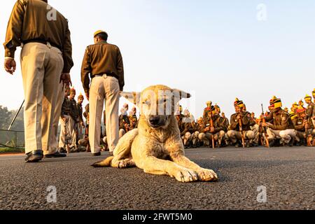 un chien est assis sur la route et la police de delhi pendant leurs répétitions pour la journée de la république indienne à delhi. Banque D'Images