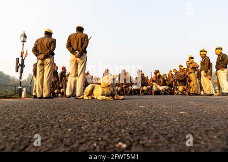 un chien est assis sur la route et la police de delhi pendant leurs répétitions pour la journée de la république indienne à delhi. Banque D'Images