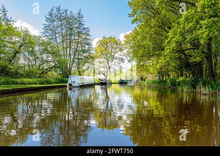 The River Wey, avec des bateaux étroits traditionnels amarrés lors d'une journée de printemps/été encore ensoleillée en amont de l'écluse de Papercourt Ripley Surrey, Royaume-Uni Banque D'Images