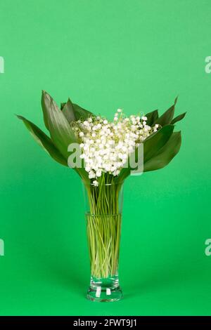 Bouquet de beaux lys frais de la vallée dans un vase en verre sur fond vert Banque D'Images