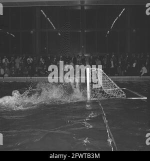 Water polo pays-Bas contre la Russie 4-4 (heure du match), 21 avril 1962, WATER POLO, pays-Bas, agence de presse du xxe siècle photo, nouvelles à retenir, documentaire, photographie historique 1945-1990, histoires visuelles, L'histoire humaine du XXe siècle, immortaliser des moments dans le temps Banque D'Images