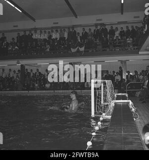 Water polo pays-Bas contre la Russie 4-4 moments de jeu de ce match, 21 avril 1962, WATER POLO, pays-Bas, agence de presse du xxe siècle photo, nouvelles à retenir, documentaire, photographie historique 1945-1990, histoires visuelles, L'histoire humaine du XXe siècle, immortaliser des moments dans le temps Banque D'Images