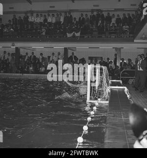 Water polo pays-Bas contre la Russie 4-4 moments de jeu de ce match, 21 avril 1962, WATER POLO, pays-Bas, agence de presse du xxe siècle photo, nouvelles à retenir, documentaire, photographie historique 1945-1990, histoires visuelles, L'histoire humaine du XXe siècle, immortaliser des moments dans le temps Banque D'Images