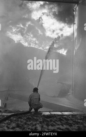 Incendie de réservoir d'huile, dans la région de Botlek, un pompier tente d'éteindre, 13 janvier 1968, incendies, pompiers, Pétroliers, pays-Bas, agence de presse du XXe siècle photo, news to remember, documentaire, photographie historique 1945-1990, histoires visuelles, L'histoire humaine du XXe siècle, immortaliser des moments dans le temps Banque D'Images